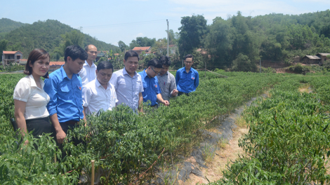 Quảng Ninh vêy doó dzợ váih “ chr’val 135” moọt c’moo 2020