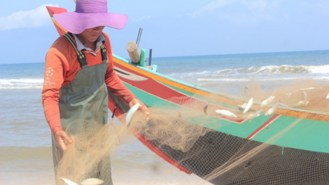 Quảng Bình: đhanuôr bơơn bấc axiu trích