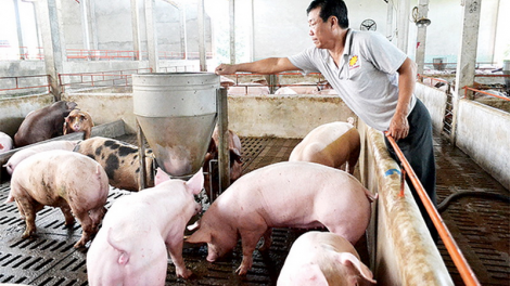 Ma nứih b’băn n’đắh Nam k’rang k’uôl tu pr’lúh pazruốh a óc châu Phi