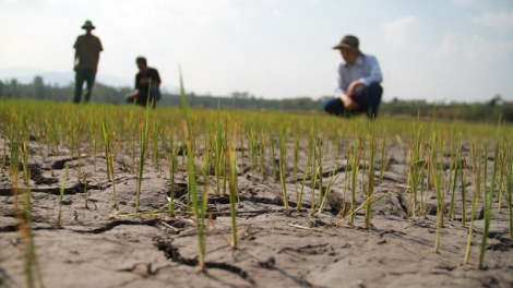 Tây Nguyên nắc tơớp ta bhúch đác ngân bhlâng bêl tước ooy cr’chăl hân noo ch’noọng 2019