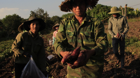 Gia Lai: Đha nuôr cắh bơơn chơớc lêy c’lâng lúh ha clang Nhật