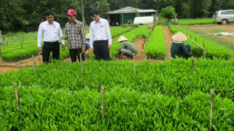 Tín dụng tam nông bhrợ c’lâng dưr zi lấh đha rứt đoọng ha đha nuôr cóh k’coong ch’ngai