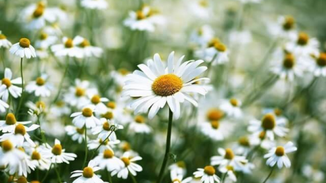 T’RÚIH T’NGAY 8/10/2019