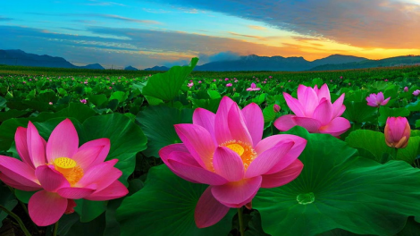 T'RUIH PA XUL T'NGAY 2/9/2019