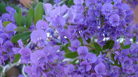 T'RUIH PA XUL T'NGAY 10/8/2019