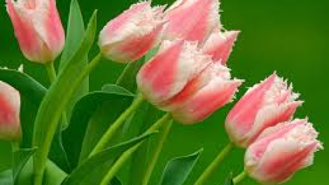 T'RUIH T'NGAY 23/11/2019