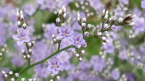 T'RUIH T'NGAY 19/6/2019