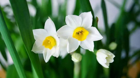 T'RUIH T'NGAY 21/6/2019