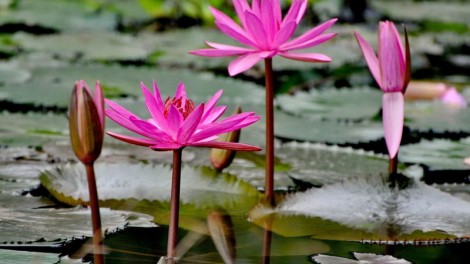 T’RUIH PA XUL T’NGAY 23/5/2019