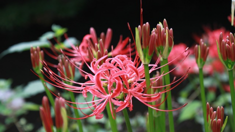 T'RUIH T'NGAY 23/6/2019