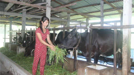 Sóc Trăng: Bh’nơơn liêm choom tơợ dự án pa dưr pr’đhang bh’rớ băn c’roóc pay đac toh