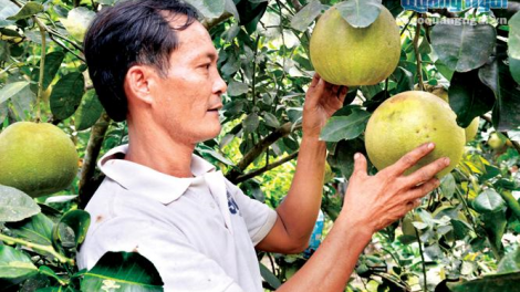 Chr’hoong Nghĩa Hành pa dưr cr’nọo bh’rợ bhươn p’lêê p’coo