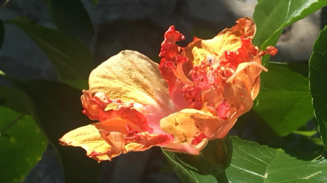 T’RÚIH T’NGAY 13/9/2019