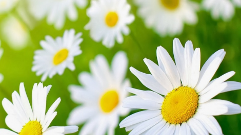 T'RUIH T'NGAY 6/6/2019