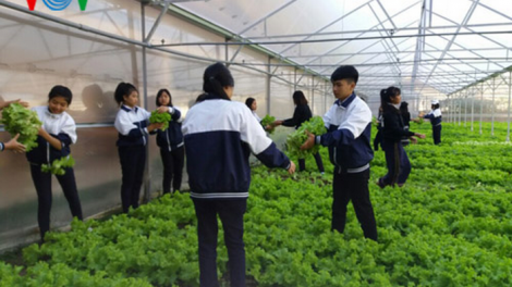 Lâm Đồng: Pa choom bhrợ nông nghiệp công nghệ dal cóh tr’nớt nhà trường