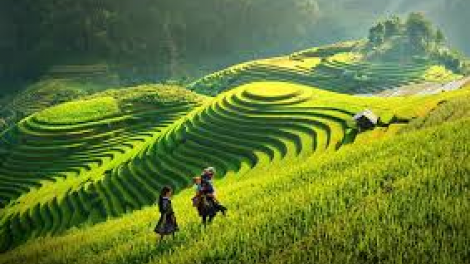 T'RUIH T'NGAY 8/6/2019