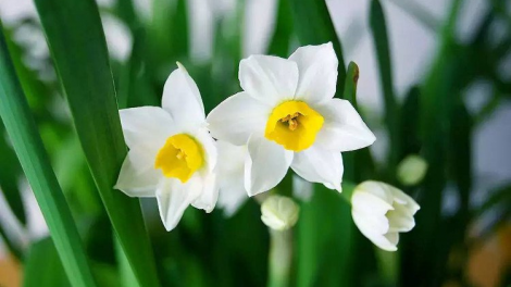 T'RUIH PA XUL T'NGAY 11/8/2019