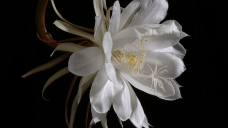 T'RUIH T'NGAY 18/6/2019