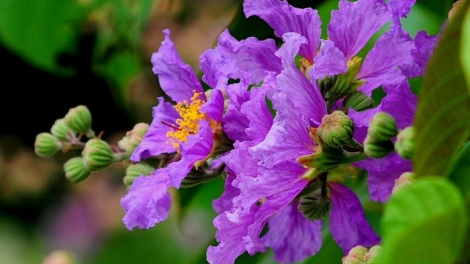 T'RUIH T'NGAY 17/12/2019