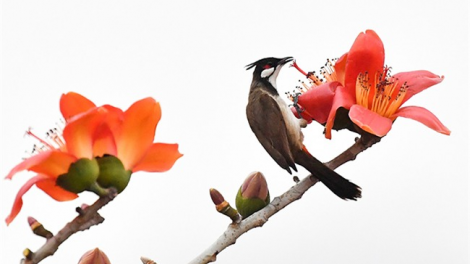 T'RUIH T'NGAY 16/12/2019