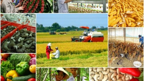 Ngành nông nghiệp xay bhrợ bh’rợ tơợ đâu tước x’ría c’moo