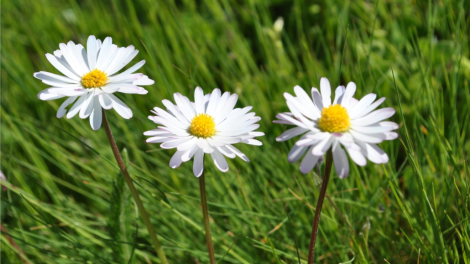 T'RUIH PA XUL T'NGAY4/8/2019