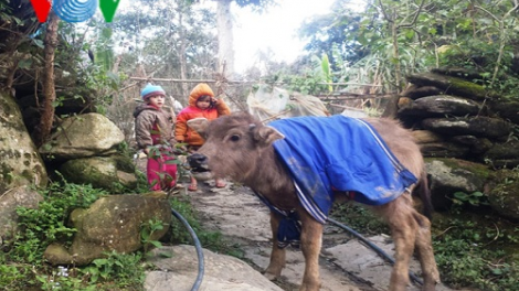 Pa ghit cha groong cha kệêt đoọng ha bh’năn băn