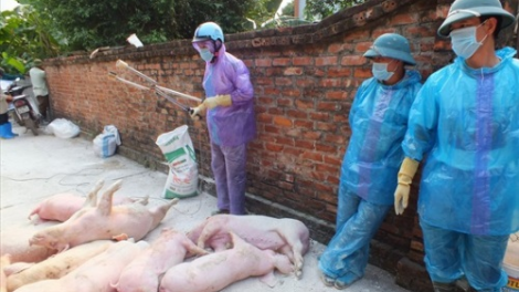 Pa căh xa nay cóh mạng choom pa dứah pr’lúh pr’zuốh a’ọc Châu Phi