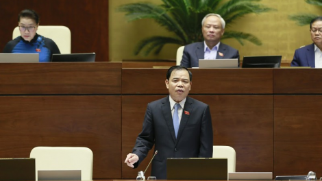 G’lúh ta moóh lâng ta ơơi râu ta moóh tr’nơợp đhị pr’họp g’lúh 8, Quốc hội khoá 14