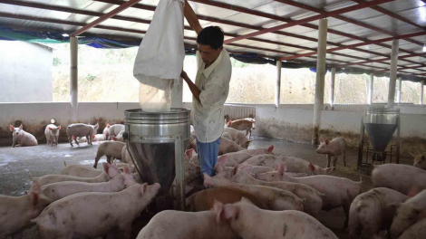 Quảng Nam pr’lúh pr’zuốh a’ọc Châu Phi trơơi boọ cóh đhăm bhứah