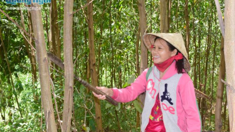 Quảng Ngãi: Lấh 3.300 tỷ đồng zên tín dụng chính sách đoọng k’rong pa dưr pa xớc pr’ắt tr’mung