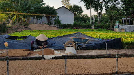 Quảng Trị: Bhrợ t’bhưah bh’rớ đoọng vặ 3 rau c’bhuh, bhrợ têng bhươl cr’noon t’mêê nhâm mâng