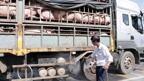 Quảng Trị: Zâl cha groong đhr’năng pa câl a ọc coh zr’lụ c’noong k’tiêc