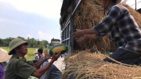 Quảng Nam: Bha cai dal chr’nắp, đha nuôr bhui har