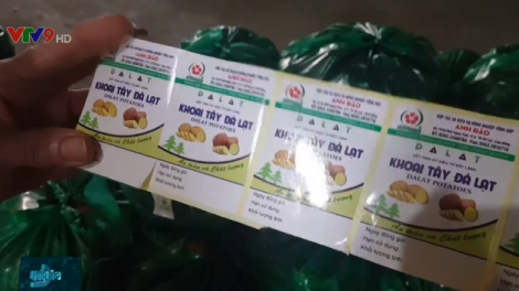 Lâm Đồng clặ tem zâl rau cắh la lua đoọng ha lấh 1.500 tấn clang tây Đà Lạt