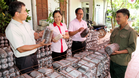 Tín dụng tam nông bhrợ c’lâng dưr zi lấh đha rứt đoọng ha đha nuôr cóh k’coong ch’ngai