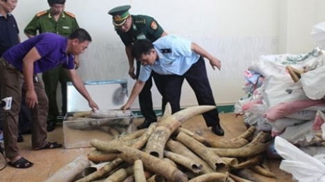 T’bhlâng lêy cha mêết bhiệc pa câl bhr’lưa ruốih lâng zâp râu a’chim a’đhắh