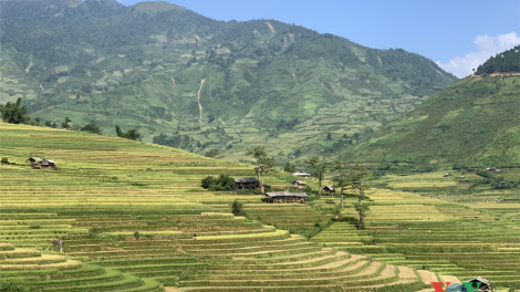 Đhị za nươr âng manuyh đharựt coh Yên Bái