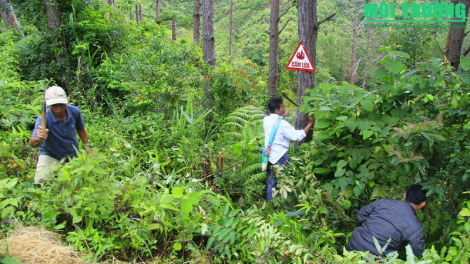 Ngành lâm nghiệp n’đăh Bắc bhrợ têng bh’rớ tr’nêng c’moo 2020
