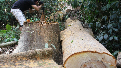 Pa hư crâng cóh tu k’ruung Tranh