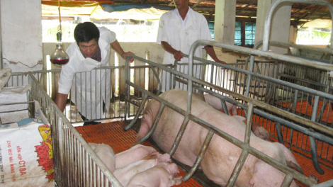 Nghệ An: Bhrợ bhrợợng bh’rợ ch’mêệt lêy pr’lúh pa zruốh a óc châu Phi trơơi boọ