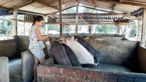 Đà Nẵng: Manuýh b’băn k’rang đhị đhr’năng pr’lúh pa zruáh a óc Châu Phi