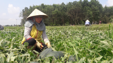 Đha nuôr Quảng Ngãi lum zr’nắh k’đháp tu bha cai