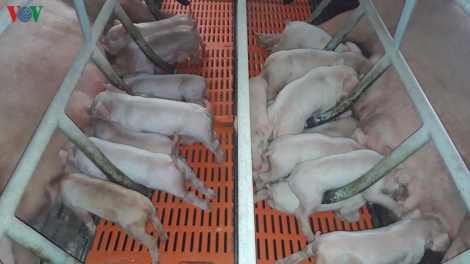 Chr’năp lệê a’ọc đhị zr’lụ Đông Nam Bộ dưr dzoóc ting t’ngay