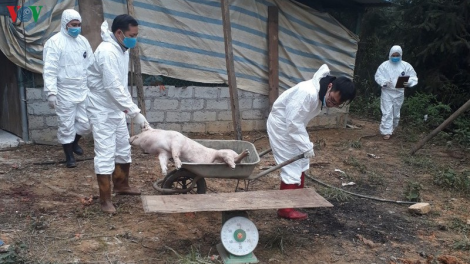Bắc Kạn năc cớ dưr vaih zr’lụ pa zruôh a oc Châu Phi