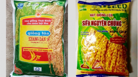 Bộ NN-PTNT k’đươi moon đoọng k’nặ 3.000 tấn m’ma tơơm chr’noh đoọng ha 4 tỉnh miền Trung