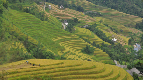 Apêê chr’val, vel vêy 15% đợ pr’loọng đha nuôr acoon coh năc a têh năc zr’lụ đha nuôr acoon coh lâng da ding ca coong