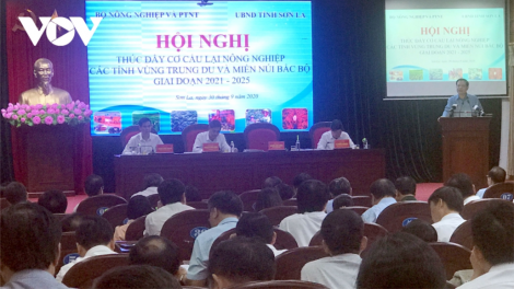 Lêy cơ cấu cớ bh’rợ ha rêê đhuôch doọng k’nặ 10 r’bhầu ức hecta k’tiếc