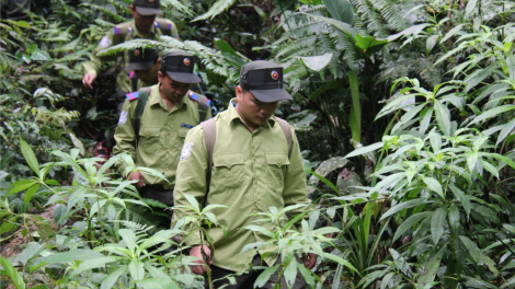 Xăl pr’đhang k’đhơợng lêy, zư lêy crâng: Liêm choom n’đhang căh vêy zên