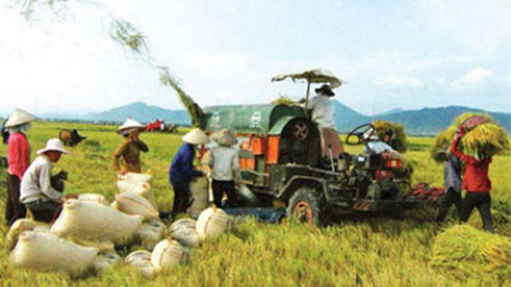 Xã hội ting xay bhrợ đoọng pa dưr bh’rợ tr’nêng kinh tế bhươl cr’noon